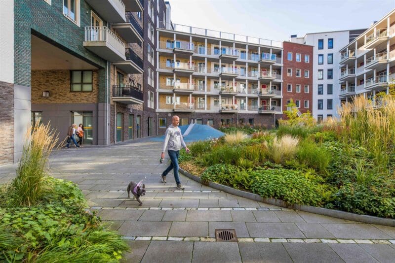 Man met hond in woonwijk